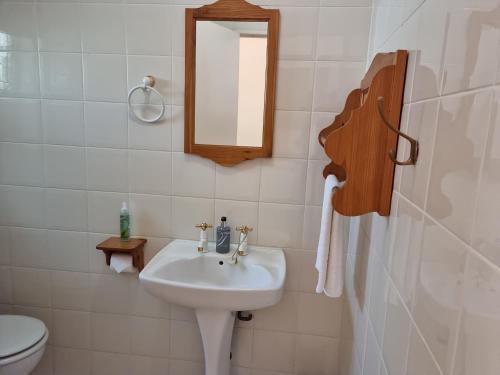 a bathroom with a sink and a mirror and a toilet at Camelia Guest House in Universitas