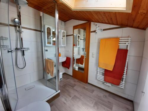 a bathroom with a shower and a toilet and a sink at Haus Angerbichl in Ramsau