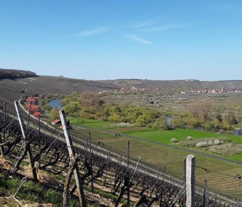 a fence on top of a field with a river at Ferienwohnung - Zimmervermietung Ringelmann in Dettelbach