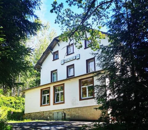 a large white house with windows at Pension Haus Anna in Kurort Altenberg