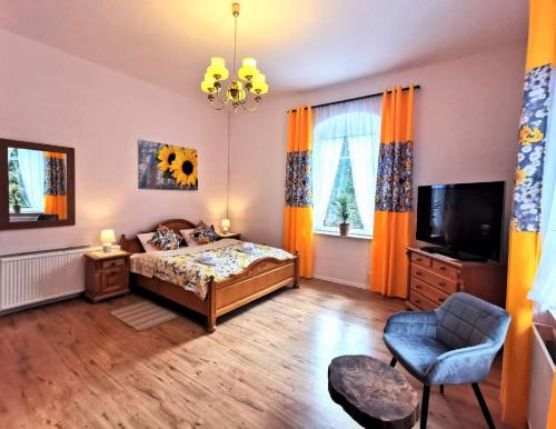 a bedroom with a bed and a tv and a chair at Pension Haus Anna in Kurort Altenberg