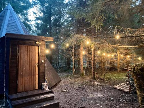 a wooden out house with lights in the woods at Riksi püstkoda in Hiiumaa