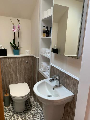 bagno con lavandino, servizi igienici e specchio di Pear Tree Cottage a Cullen