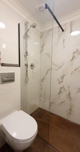a bathroom with a toilet and a glass shower at DK Premium Warmińska Secesja in Olsztyn