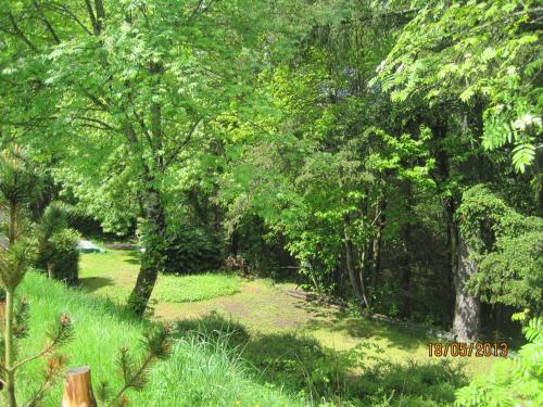 a path through a forest with trees and grass at Hotel Le Commerce in Neuville