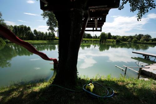 a duck is tied to a tree next to a lake at Residence Le Querce in Cordovado