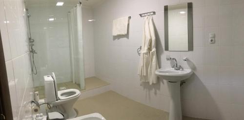 スモレンスクにあるHotel Derzhavaの白いバスルーム(トイレ、シンク付)