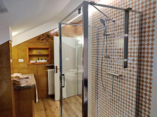 a bathroom with a glass shower with a toilet at B&B La Fosina in Mezzolombardo