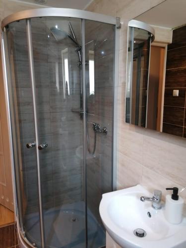 a bathroom with a shower and a sink at Apartament Przy Kortach in Bytom