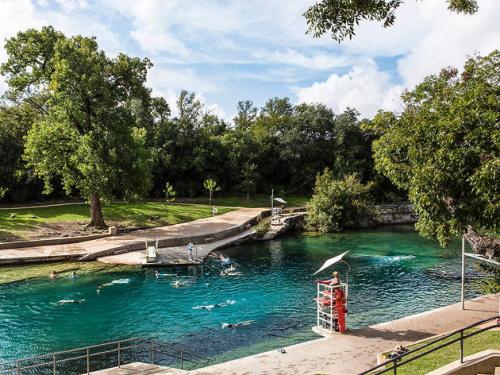 a person standing in a river with ducks in the water at Staybridge Suites Austin Airport by IHG in Austin