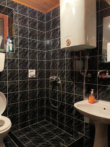 a black tiled bathroom with a shower and a sink at Veselica in Divčibare