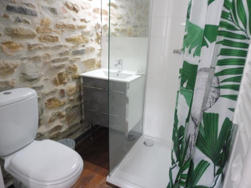 a bathroom with a toilet and a sink at Studio de charme au centre ville in Salies-de-Béarn