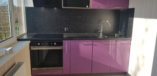 Cuina o zona de cuina de Narva Appart
