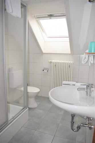 a bathroom with a sink and a toilet and a skylight at Gasthof Lamprecht in Peiting