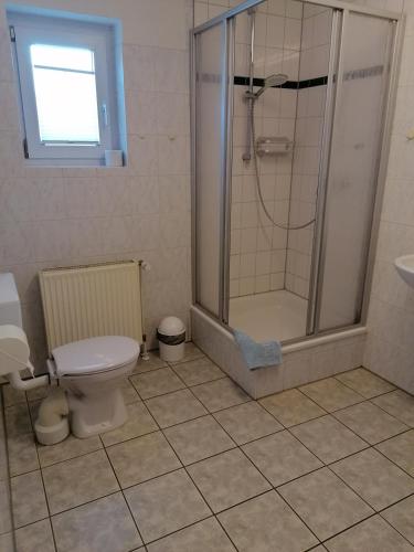 a bathroom with a shower and a toilet and a sink at Ferienwohnung 4, Waldesruh Dierhagen in Dierhagen