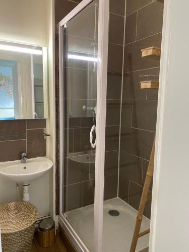 une salle de bain avec douche et lavabo dans l'établissement Le 4B - Le Tiki, à Rouen