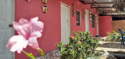 a red house with a pink flower in front of it at Guest House Nena in Moyogalpa
