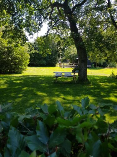 a park bench under a tree in a park at bij Saar in Zwinderen