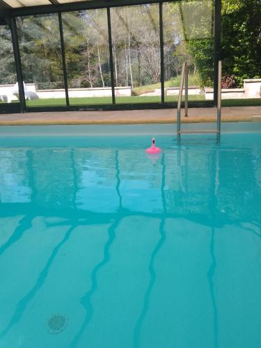 a swimming pool with a pink item in the water at Domaine de la Vaudourière in Lunay