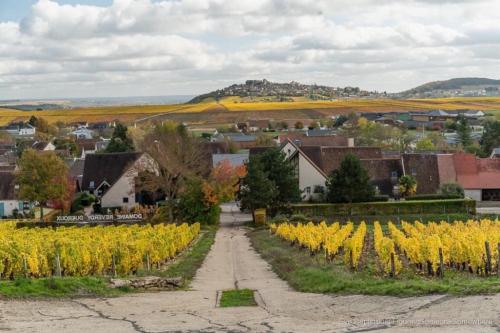 a village with yellow flowers in a field at l'ANNEXE in Verdigny