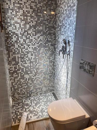 a bathroom with a shower with a toilet at Lagos Center House in Lagos