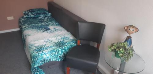 a bedroom with a bed and a chair in it at Haus Stefanie Elvire in Kurort Altenberg