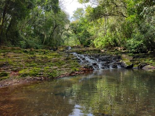 a stream in the middle of a forest with a waterfall at hotel fazenda ctk in Santa Cruz do Sul
