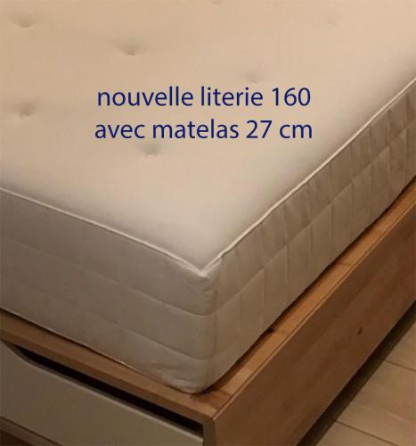 Studio Charme et Confort aux Cordeliers photo 11