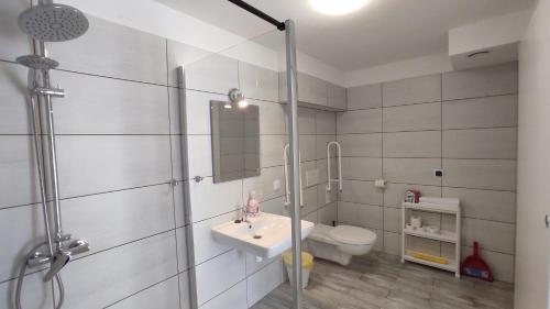 a bathroom with a shower and a sink and a toilet at WILLA DobraNocka in Szklarska Poręba