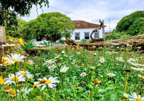 un campo de flores frente a una casa en Pousada Fazenda das Bicas, en Andrelândia