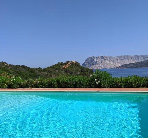 a swimming pool with blue water and mountains in the background at SAN TEODORO PUNTA EST AMPIO TRILOCALE VISTA MARe in Capo Coda Cavallo