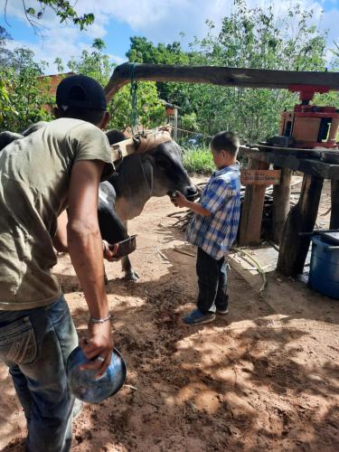 a man and a young boy petting a horse at Hotel de Campo Villa de Ada in Gracias