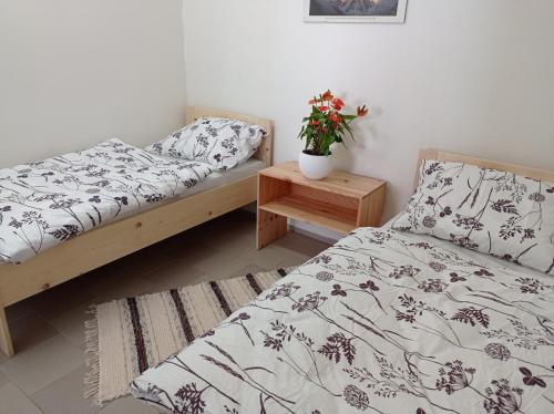 een slaapkamer met 2 bedden en een potplant bij Ubytování v soukromí in Podivín