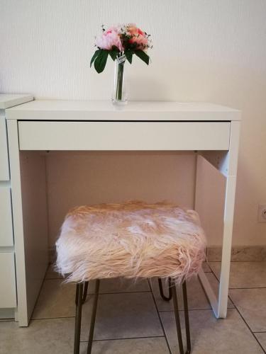Фотография из галереи NICE APPARTEMENT в Амбуазе