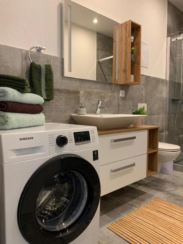 a washing machine in a bathroom with a sink at Mariposa 5 incl Pool & Sauna in Bad Harzburg