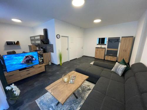 sala de estar con sofá y TV de pantalla plana en Mariposa 5 incl Pool & Sauna, en Bad Harzburg