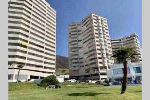 two tall buildings and a palm tree in a field at Beachfront Condo close Puerto Nuevo, Papas, and Valle de Guadalupe in Rosarito