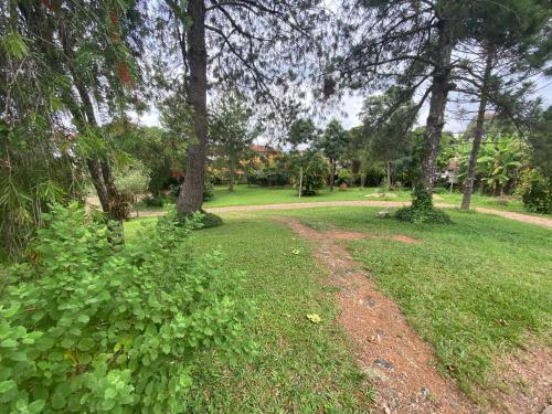 a dirt road in a park with trees and grass at Segredo da Serra Guest House in Tiradentes