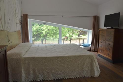 a bedroom with a bed and a large window at Agriturismo Castolda in Treviglio