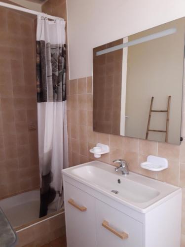 une salle de bain avec un lavabo, un miroir et une douche dans l'établissement Gite 2 personnes, à Plonévez-Porzay