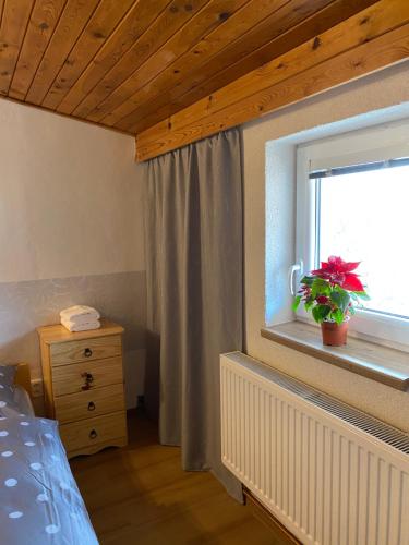 a bedroom with a window with a plant on a window sill at Penzion U Martina in Mariánské Lázně