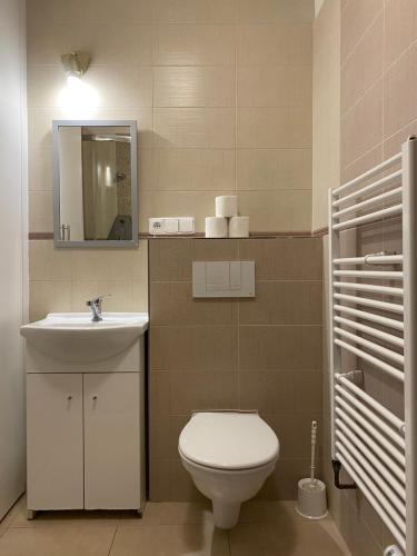 a bathroom with a toilet and a sink and a mirror at Penzion U Martina in Mariánské Lázně
