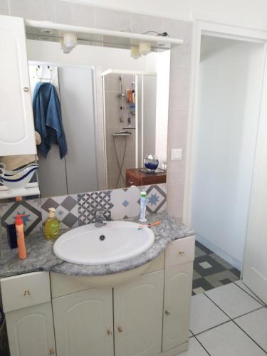 W łazience znajduje się umywalka i prysznic. w obiekcie Chambre César- au 1er - Villa Chaumonty w mieście Périgueux