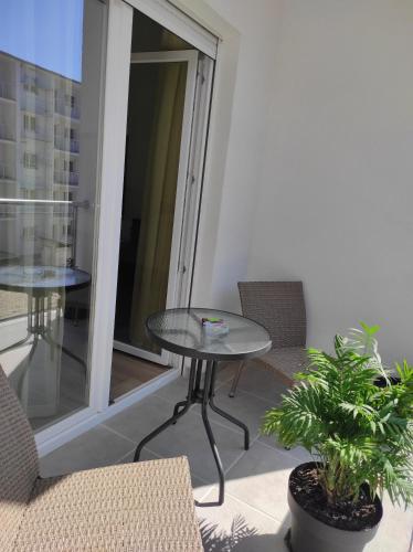 Studio apartman Daniにあるバルコニーまたはテラス