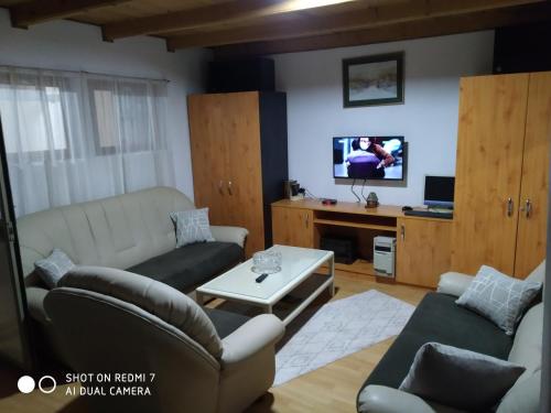 TV a/nebo společenská místnost v ubytování Perucac Jezero