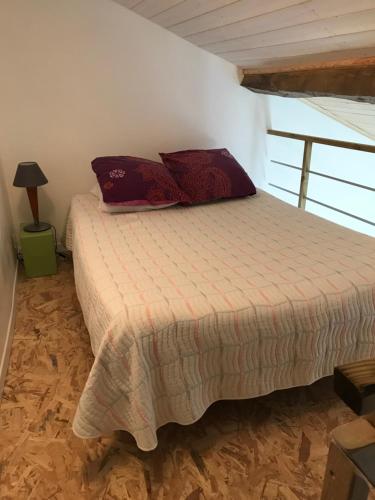 ein Schlafzimmer mit einem Bett mit roten Kissen darauf in der Unterkunft Studio privé avec cuisine sdb et terrasse privés in Saint-Sever