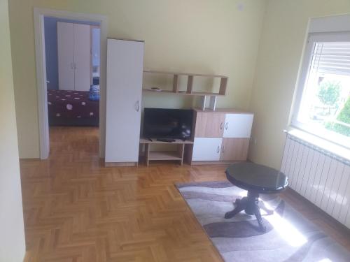 TV a/nebo společenská místnost v ubytování Alex-Branka apartments