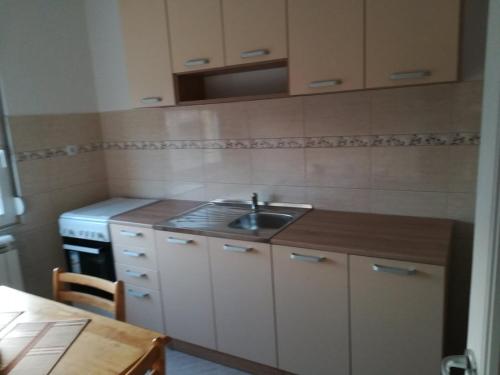 Kuchyň nebo kuchyňský kout v ubytování Alex-Branka apartments