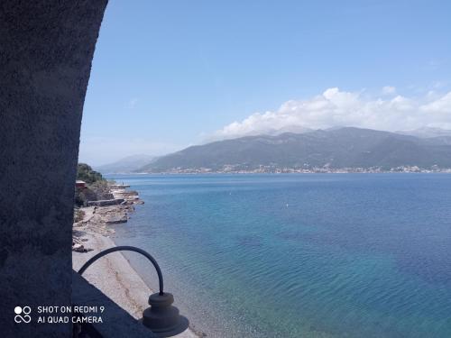 Gallery image of Apartments Petrović in Tivat
