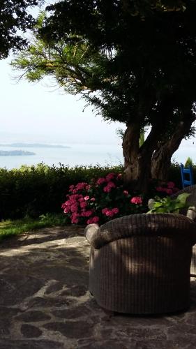 a wicker chair sitting in front of a tree and pink flowers at Villa La Moraiola in Passignano sul Trasimeno